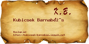 Kubicsek Barnabás névjegykártya