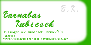 barnabas kubicsek business card